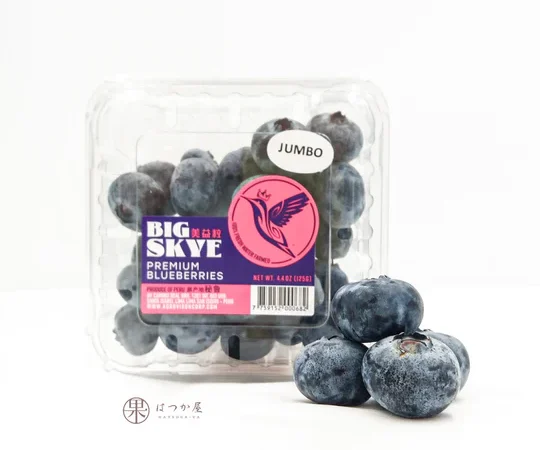 Blueberry organic