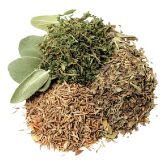 Fresh green herbs